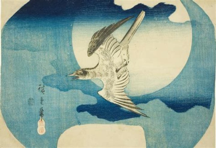 「鳴かぬなら殺してしまえ」ホトトギスは本当に“勝手な言葉”か